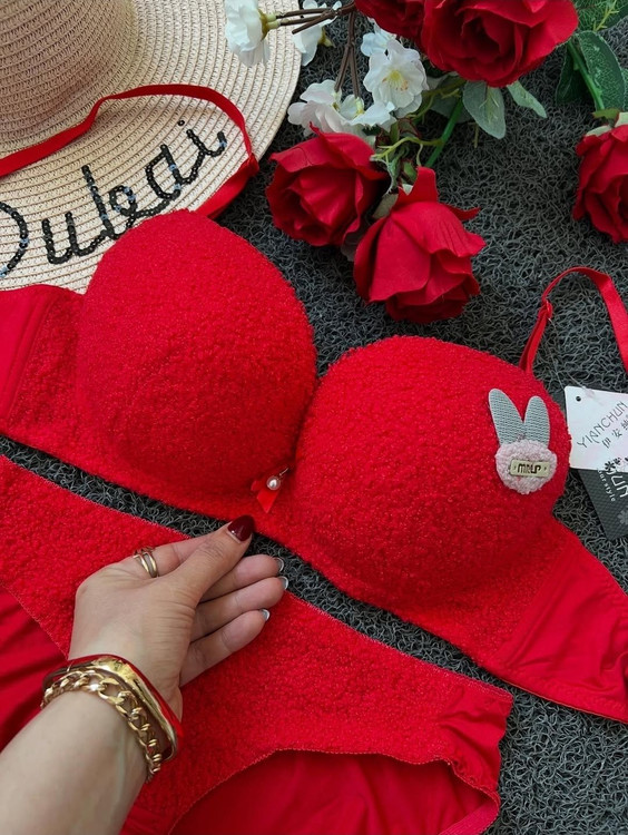 ست شورت و سوتین تدی