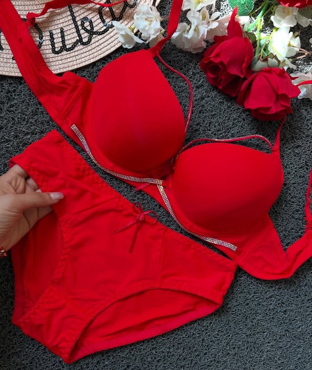 خرید و قیمت سوتین هارنس دار - باسلام