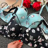 خرید و قیمت سوتین اسفنجی هارنس دار